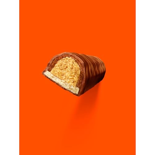 REESE'S FAST BREAK Peanut Butter Nougat Candy Bars, 1.8 oz (Pack of 18)